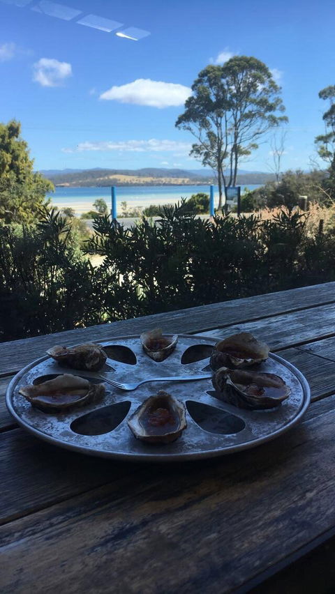 Get Shucked Oyster - Click Find 1
