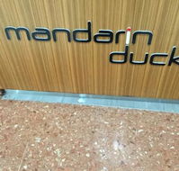 Mandarin Duck - Bet 4u