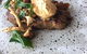 Piermont Homestead Restaurant - thumb 3
