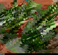 Soph Slice Gourmet Pizza Bar - Click Find