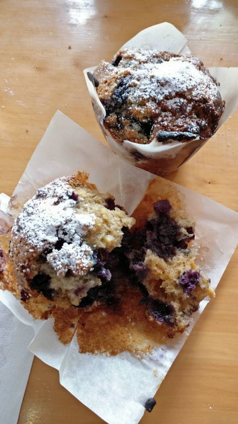 The Coffee Shack - Click Find 4