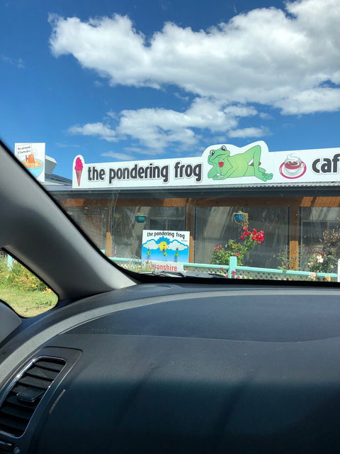 The Pondering Frog - Lavinia 4