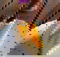 Treesa Green - Click Find