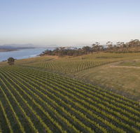 Bangor Vineyard Shed - Click Find