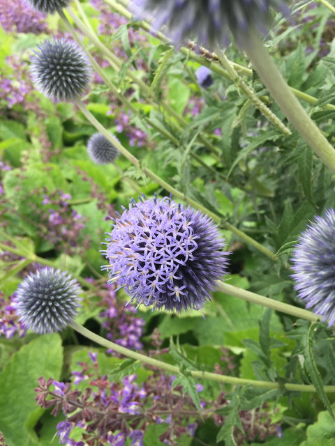 Marakoopa Cafe - Click Find 2