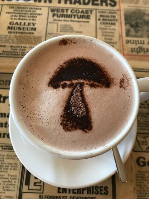The Mushroom At Waratah - Bet 4u 9