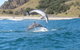 Cape Byron Kayaks - thumb 1