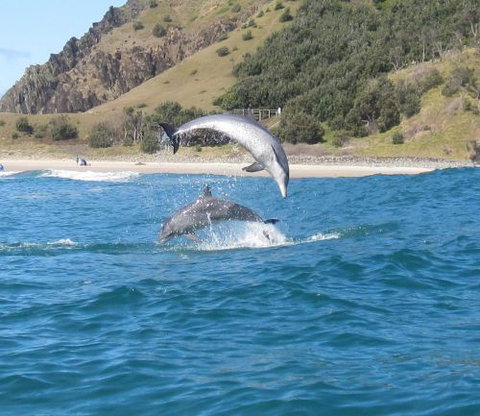 Cape Byron Kayaks - Click Find 1