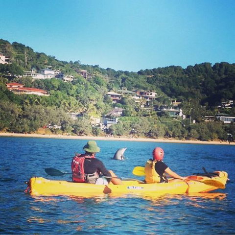 Cape Byron Kayaks - Click Find 2
