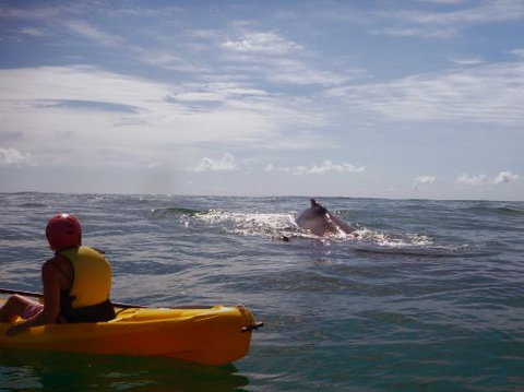 Cape Byron Kayaks - Click Find 4