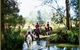 Bellrowan Valley Horse Riding - thumb 1