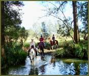 Bellrowan Valley Horse Riding - Click Find 1