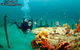 Let’s Go Adventures–Dive Nelson Bay - thumb 1