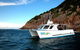 Let’s Go Adventures–Dive Nelson Bay - thumb 3