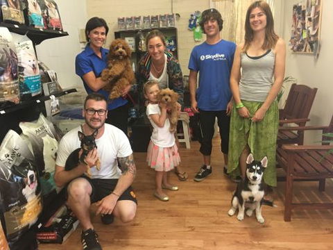 Aloha K9 Services Dog Grooming & Training - Click Find 1