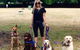Aloha K9 Services Dog Grooming & Training - thumb 2