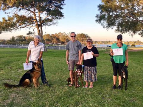 Aloha K9 Services Dog Grooming & Training - Click Find 4