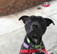 Raymond's Cafe - Click Find