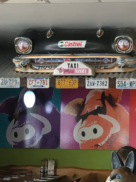 Hog's Breath Cafe - Bridge Guide 7