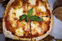 Business in Rottnest Island WA Bet 4u Bet 4u