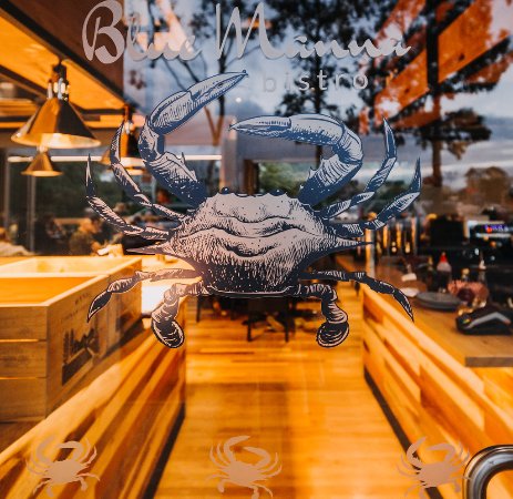 Dunsborough WA Bridge Guide