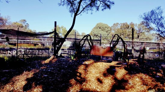 Food Delivery Hazelmere WA Click Find