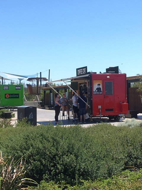 Coffee Cat - Bet 4u 2