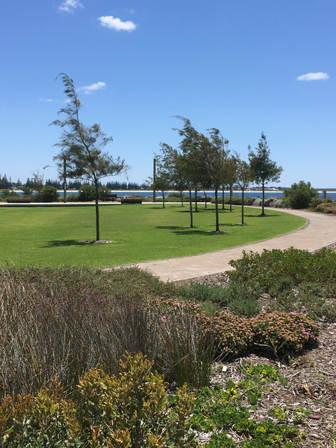 Coffee Cat - Bet 4u 3