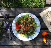 Fair Harvest Farm Cafe - Bet 4u