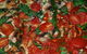 M & J's Pizza Base - thumb 3