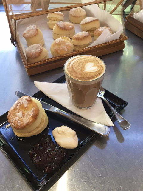 Spilled The Beans - Click Find 5