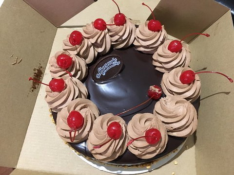 The Cheesecake Shop - Bet 4u 0