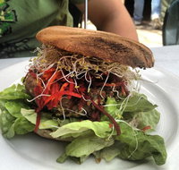 Bliss Organic Cafe - Lawyer Find