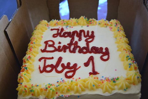 Coral Resort Bakery - Click Find 0