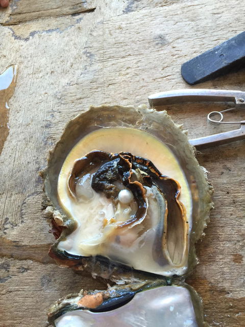 Cygnet Bay Restaurant - Click Find 9