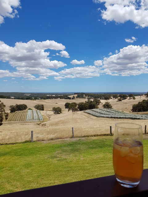 Green Door Winery & Cafe - Click Find 2