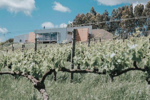 Green Door Winery & Cafe - Click Find 0