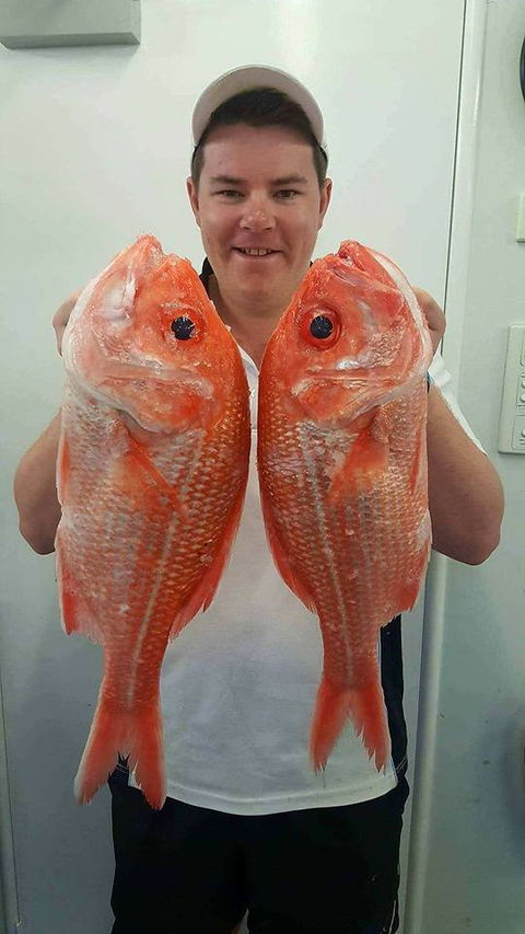 Hooked On Middleton Beach Fish & Chips - Bet 4u 5