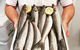Hooked On Middleton Beach Fish & Chips - thumb 6