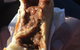 Kojonup Bakery - thumb 2