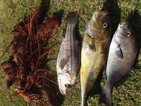 Ledge Point Country Club