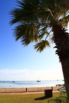 Monkey Bar - Bridge Guide 4