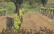 Newbliss Winery - thumb 1