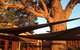 Newbliss Winery - thumb 7