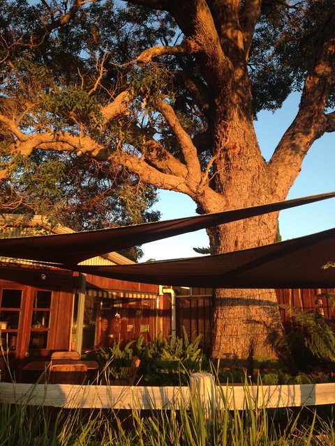 Newbliss Winery - Clickz 7
