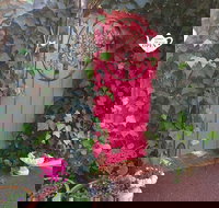 Secret Garden Adult Devonshire Tea House - Lawyer Find