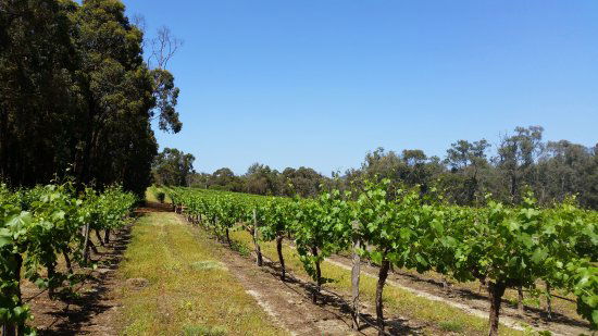 Walyunga National Park WA Click Find