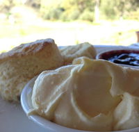 Tanglefoot Winery Cafe - Click Find