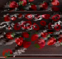 Temper Temper Fine Chocolate - Bet 4u