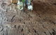 The Mallee Tree Cafe And Gallery - thumb 6